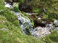 Mossy mountain stream:  Allt a' Choinne' Mhill, which 
		becomes the River Traligill lower down, even at which point
		it's not coming directly from the Bealach Traligill.