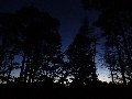 Nearly back at the road by the Coire Mhic N&ogravebaill car park:  the last light of the day through the pines.  As we walked along the road, the distinctive profile of Sgorr a'Chadail way above us, a brilliant starry night followed.